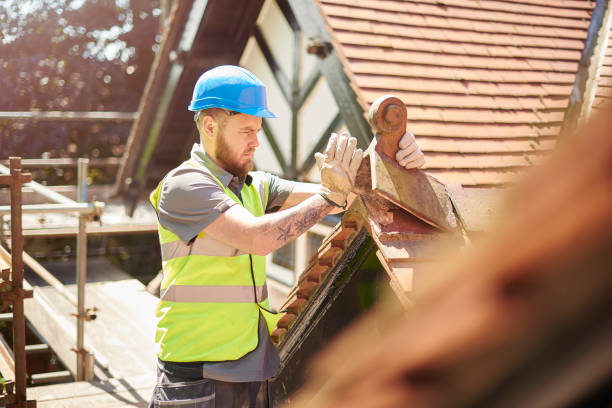 Best Roof Repair Services  in Dickinson, ND